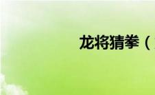 龙将猜拳（龙将酒馆）