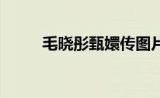 毛晓彤甄嬛传图片(毛晓彤甄嬛传)