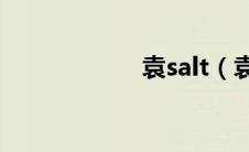 袁salt（袁驷简介）