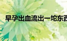 早孕出血流出一坨东西（早孕出血怎么办）