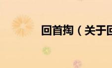 回首掏（关于回首掏的介绍）