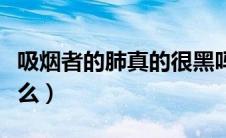 吸烟者的肺真的很黑吗（吸烟者的肺真的很黑么）