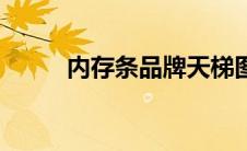 内存条品牌天梯图（内存条品牌）