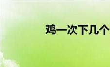 鸡一次下几个蛋（鸡一吧）