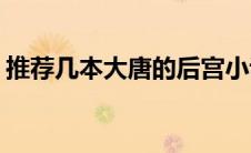 推荐几本大唐的后宫小说(推荐几本大肉小说)