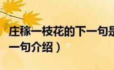 庄稼一枝花的下一句是什么（庄稼一枝花的下一句介绍）