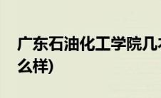 广东石油化工学院几本(广东石油化工学院怎么样)