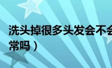 洗头掉很多头发会不会秃（洗头掉很多头发正常吗）