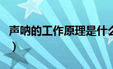 声呐的工作原理是什么（声呐的工作原理介绍）