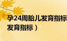 孕24周胎儿发育指标是怎样的（孕24周胎儿发育指标）