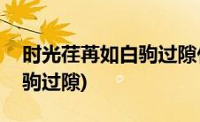 时光荏苒如白驹过隙什么意思(时光荏苒如白驹过隙)