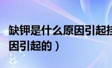 缺钾是什么原因引起挂什么科（缺钾是什么原因引起的）