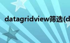 datagridview筛选(datagridview选中行)