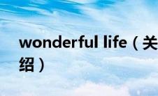 wonderful life（关于wonderful life的介绍）