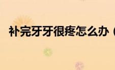 补完牙牙很疼怎么办（补完牙牙疼怎么办）