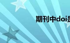 期刊中doi是什么意思