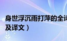 身世浮沉雨打萍的全诗和意思（过零丁洋原文及译文）