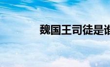 魏国王司徒是谁(王司徒是谁)