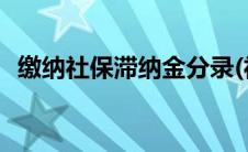 缴纳社保滞纳金分录(社保补缴滞纳金分录)