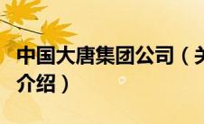 中国大唐集团公司（关于中国大唐集团公司的介绍）