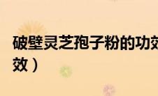 破壁灵芝孢子粉的功效（破壁灵芝孢子粉的功效）