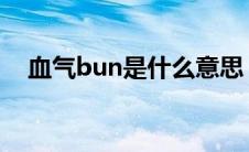 血气bun是什么意思（血BUN什么意思）