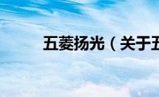 五菱扬光（关于五菱扬光的介绍）