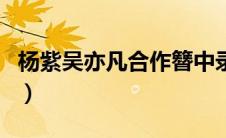 杨紫吴亦凡合作簪中录是真的吗（什么时候拍）