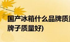 国产冰箱什么品牌质量比较好(国产冰箱哪个牌子质量好)