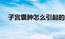 子宫囊肿怎么引起的（子宫囊肿严重吗）