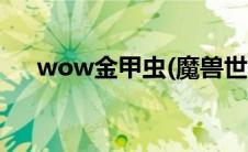 wow金甲虫(魔兽世界金甲虫卡格瓦在)
