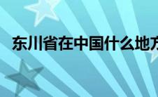 东川省在中国什么地方（东川省所在地区）