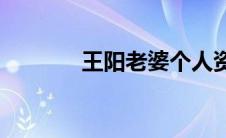 王阳老婆个人资料(王阳老婆)