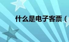 什么是电子客票（什么是电子胃镜）