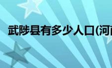 武陟县有多少人口(河南武涉县属于哪个市)