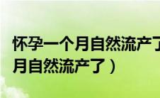 怀孕一个月自然流产了要注意什么（怀孕一个月自然流产了）