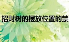 招财树的摆放位置的禁忌(招财树的摆放位置)