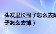 头发里长虱子怎么去除最快方法（头发里长虱子怎么去掉）