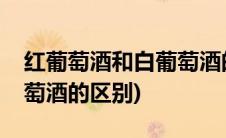 红葡萄酒和白葡萄酒的区别(红葡萄酒和白葡萄酒的区别)