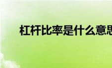 杠杆比率是什么意思（杠杆比率解释）