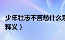 少年壮志不言愁什么意思（少年壮志不言愁的释义）