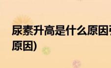 尿素升高是什么原因引起的(尿素升高是什么原因)