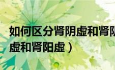 如何区分肾阴虚和肾阴阳两虚（如何区分肾阴虚和肾阳虚）