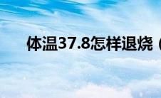 体温37.8怎样退烧（体温37.8正常吗）