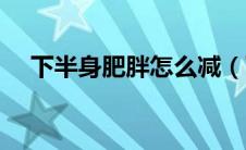 下半身肥胖怎么减（下半身肥胖的原因）