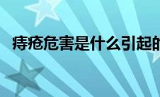 痔疮危害是什么引起的（痔疮危害是什么）