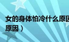 女的身体怕冷什么原因（女人身体怕冷是什么原因）