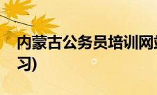 内蒙古公务员培训网站(内蒙古公务员在线学习)