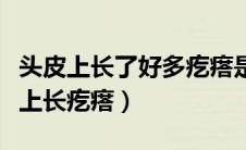 头皮上长了好多疙瘩是什么原因（为什么头皮上长疙瘩）