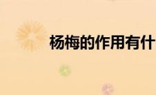 杨梅的作用有什么（杨梅作用）